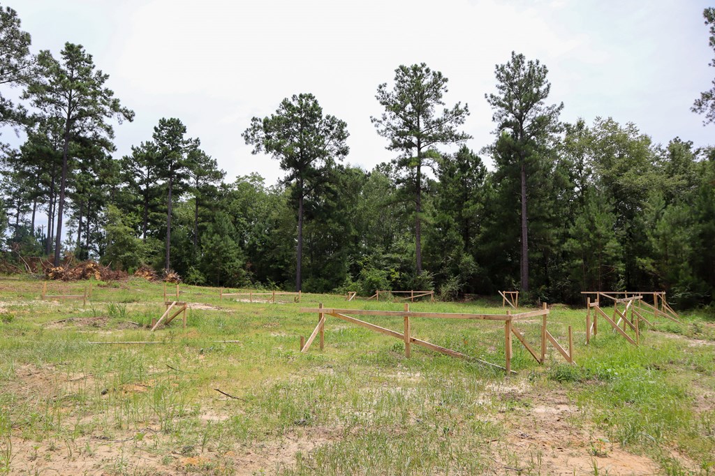 185 Ben Ivey Road Webb, AL 36376 - Photo 7 of 9
