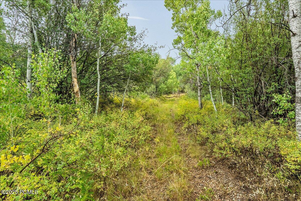 5397 East Colter Road Coalville, UT 84017 - Photo 18 of 28
