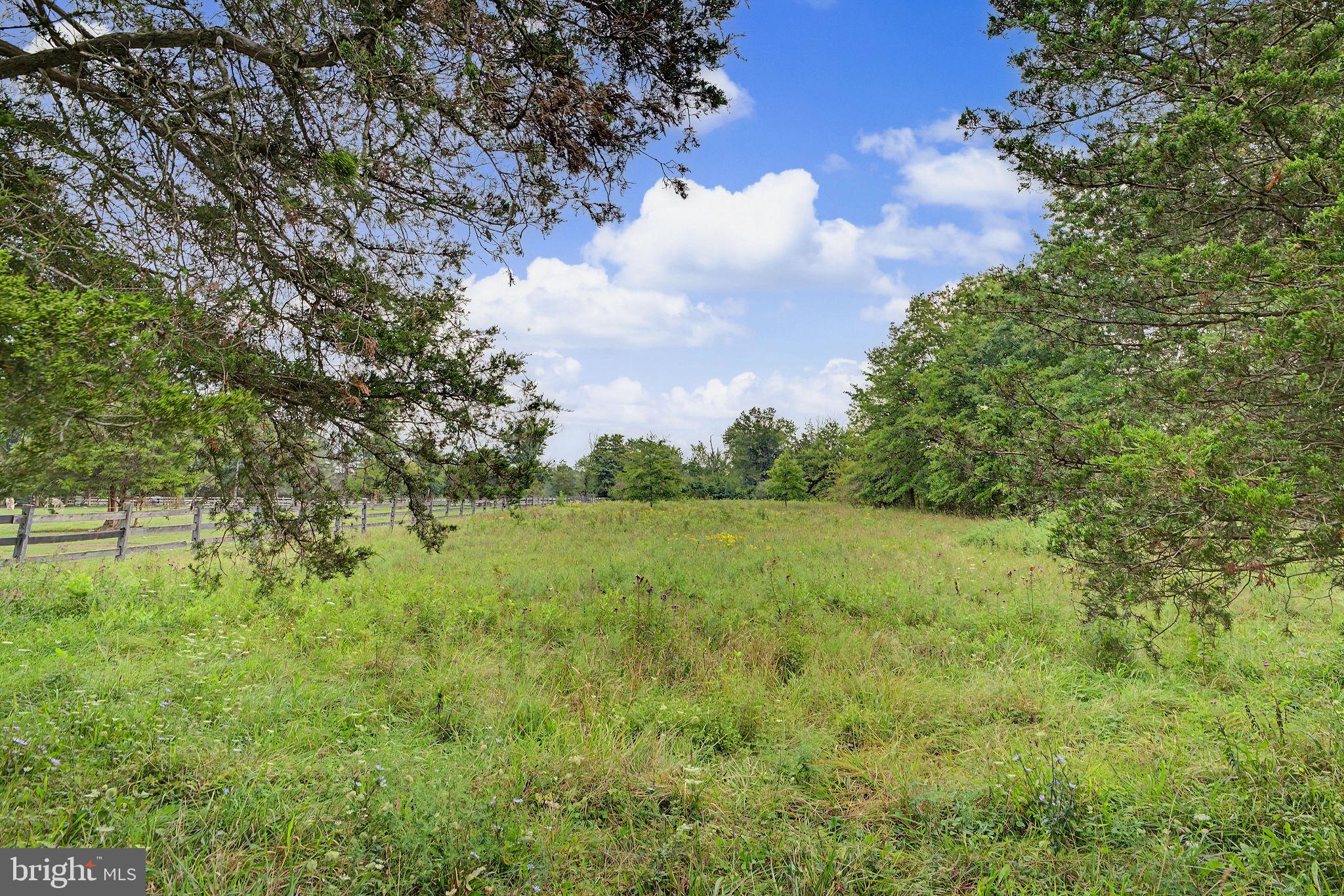 4273 Durham Road Kintnersville, PA 18930 - Photo 61 of 85 Wildflower meadow