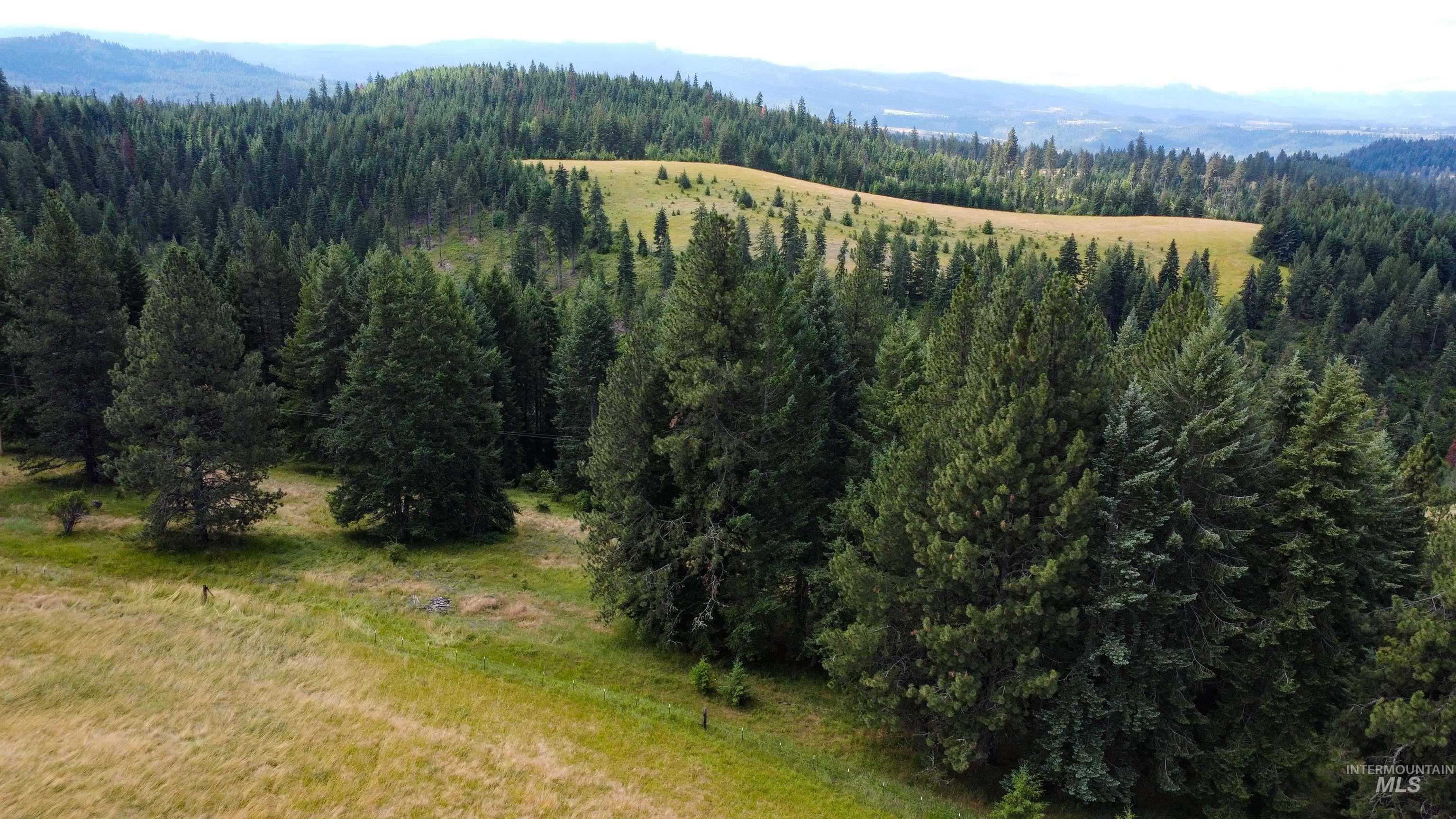 Tbd Red Fir Road Kooskia, ID 83539 - Photo 28 of 34