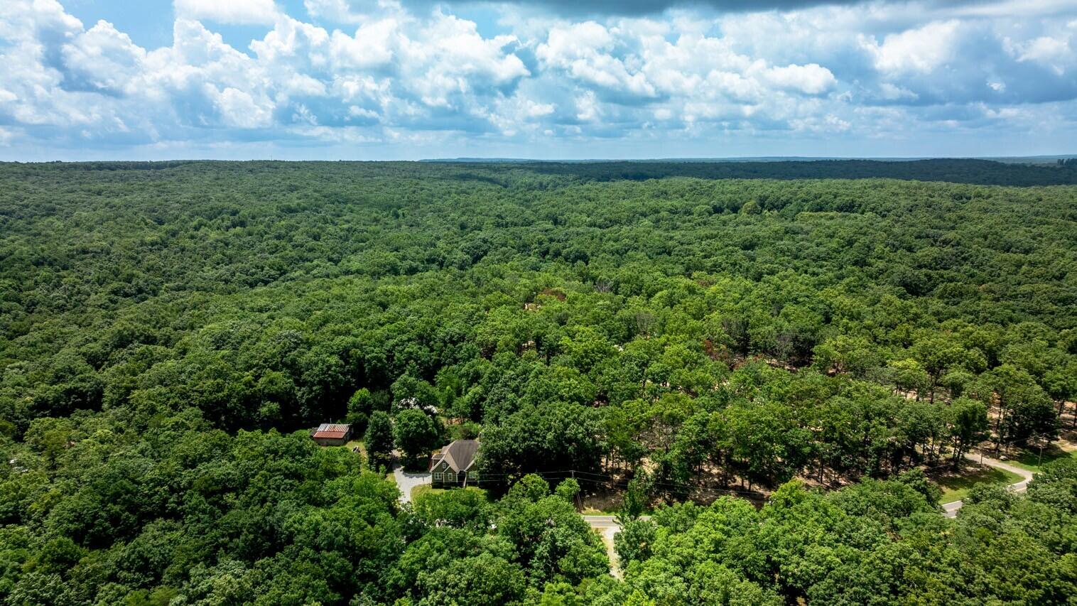 1390 Tatum Gulf Road Cloudland, GA 30731 - Photo 44 of 50 GT drone 1