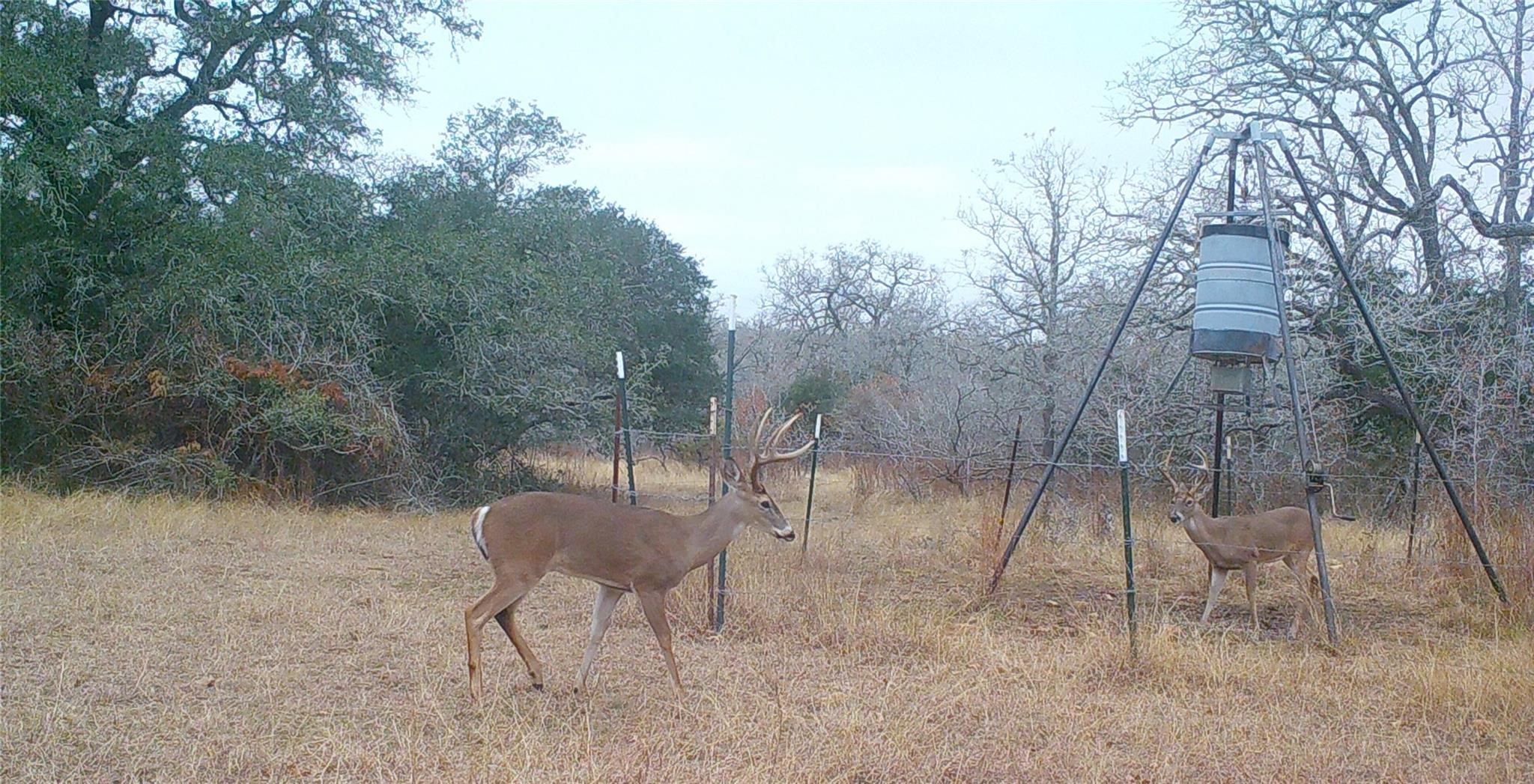 0 Old Seguin Luling Road Kingsbury, TX 78638 - Photo 15 of 27 a backyard of a house with table and chairs