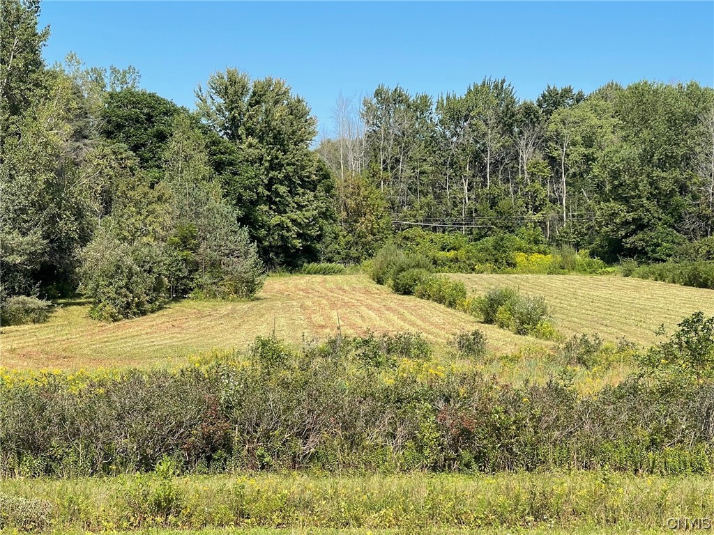 0 Williams Street Oneida, NY 13421 - Photo 1 of 20