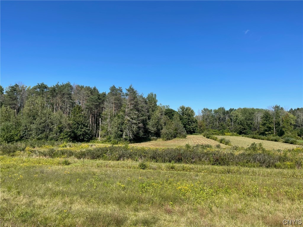 0 Williams Street Oneida, NY 13421 - Photo 11 of 20