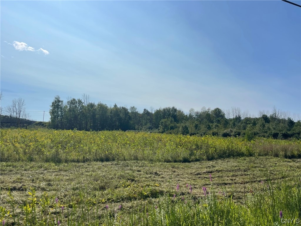 0 Williams Street Oneida, NY 13421 - Photo 12 of 20