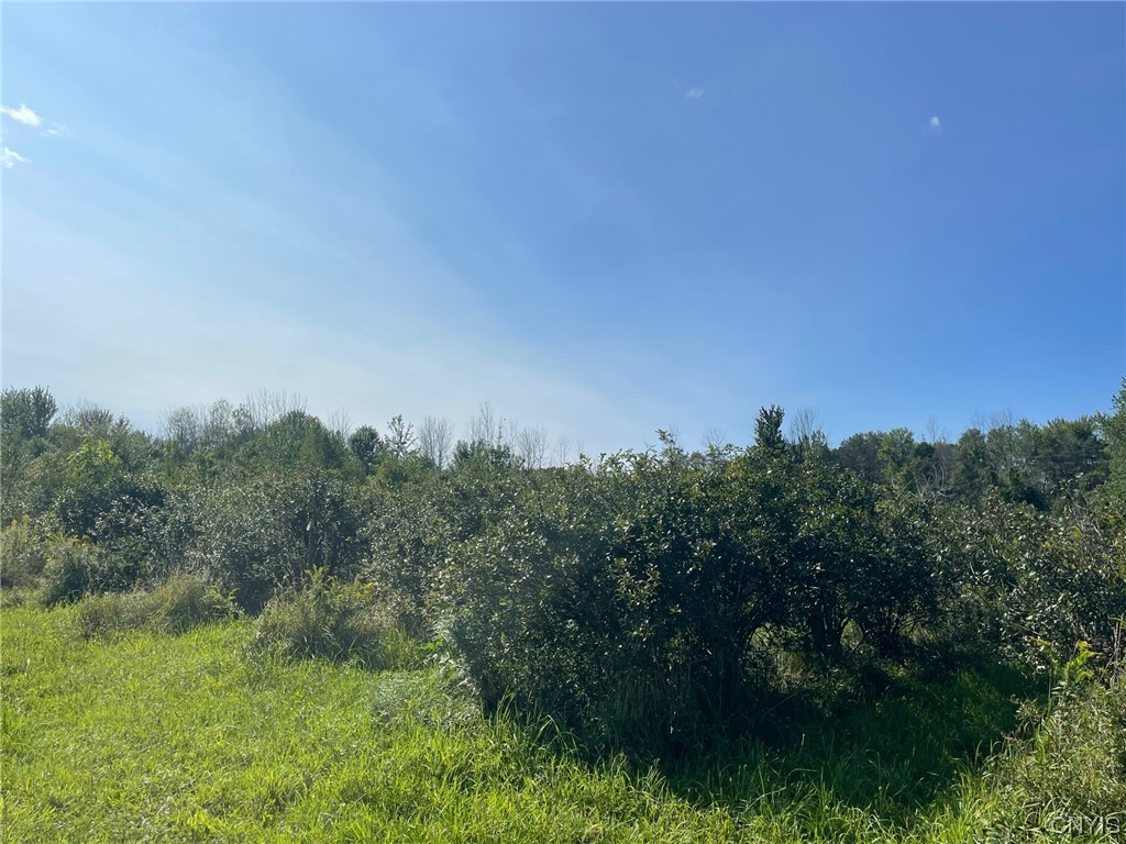 0 Williams Street Oneida, NY 13421 - Photo 13 of 20