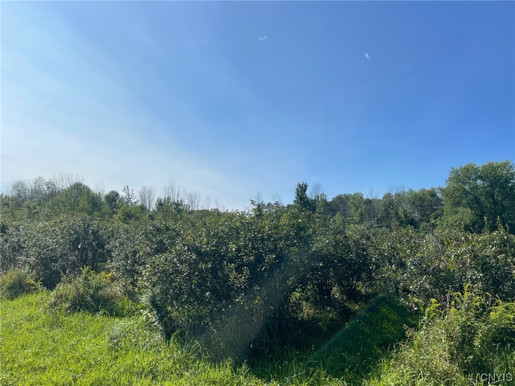 0 Williams Street Oneida, NY 13421 - Photo 14 of 20