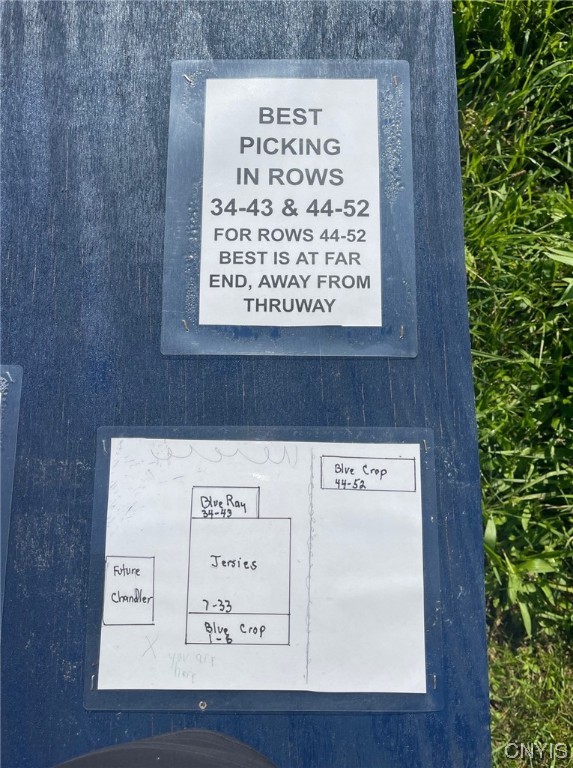 0 Williams Street Oneida, NY 13421 - Photo 15 of 20