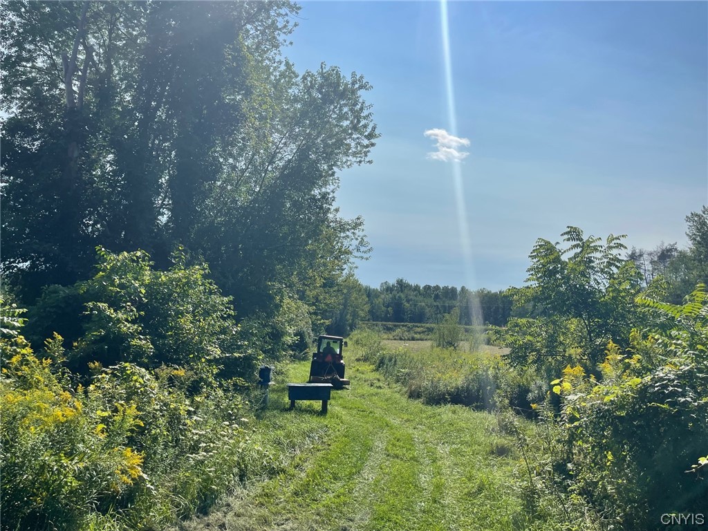 0 Williams Street Oneida, NY 13421 - Photo 18 of 20