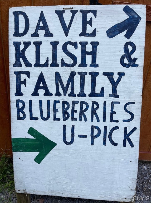 0 Williams Street Oneida, NY 13421 - Photo 19 of 20