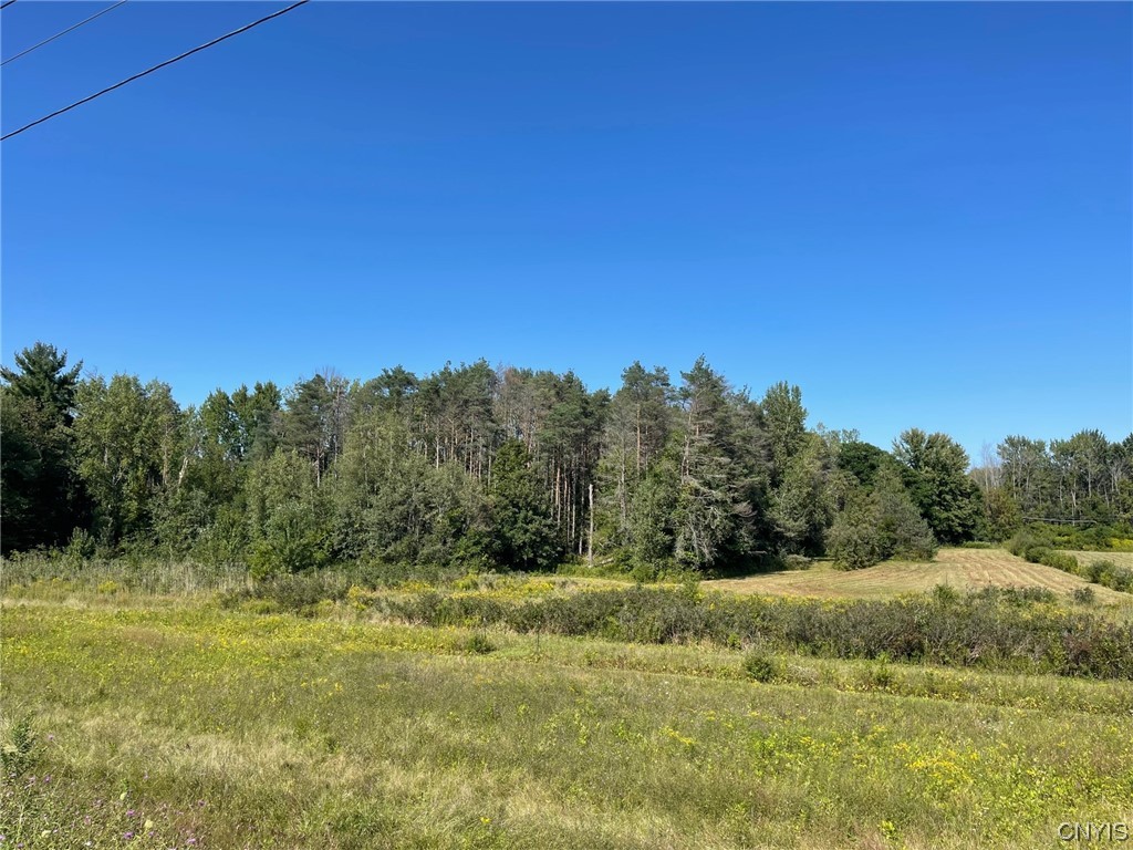 0 Williams Street Oneida, NY 13421 - Photo 2 of 20 Blueberry Farm!