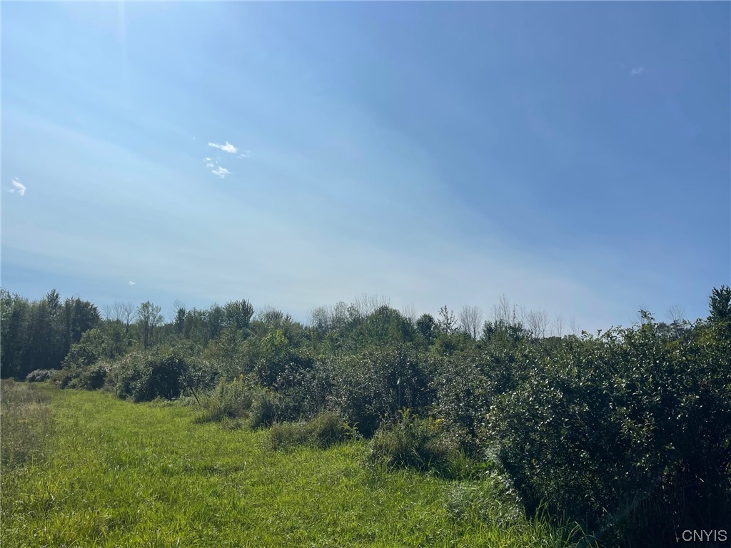 0 Williams Street Oneida, NY 13421 - Photo 3 of 20