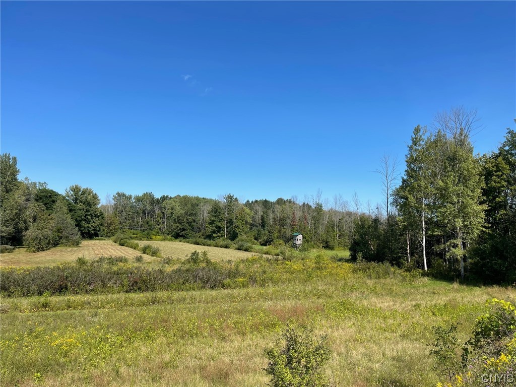 0 Williams Street Oneida, NY 13421 - Photo 5 of 20