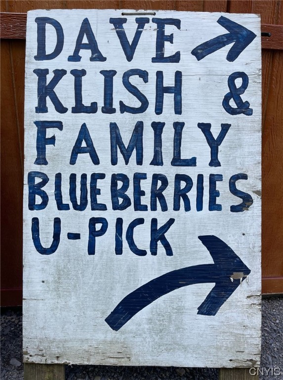 0 Williams Street Oneida, NY 13421 - Photo 6 of 20