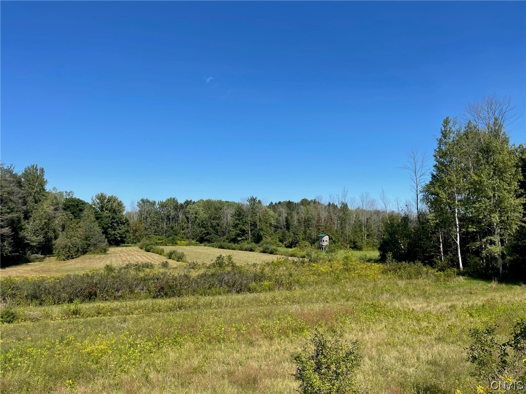 0 Williams Street Oneida, NY 13421 - Photo 7 of 20