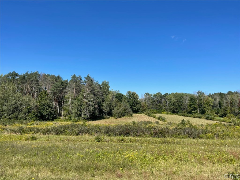 0 Williams Street Oneida, NY 13421 - Photo 8 of 20