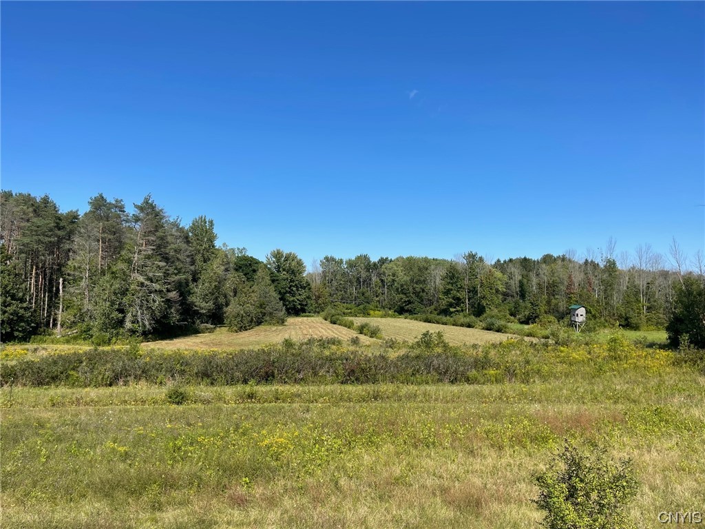 0 Williams Street Oneida, NY 13421 - Photo 9 of 20