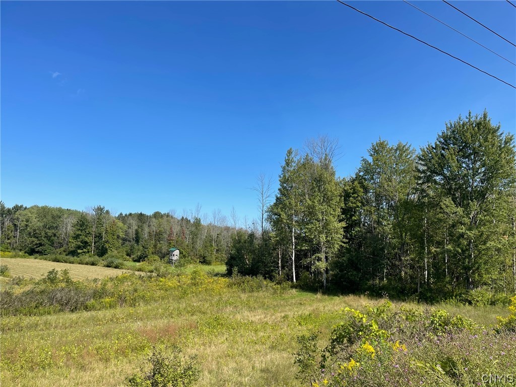 0 Williams Street Oneida, NY 13421 - Photo 10 of 20