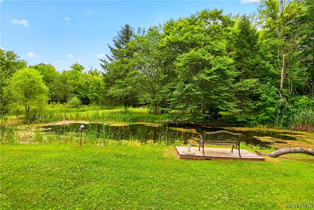 2367 Ellicott Road Caledonia, NY 14423 - Photo 28 of 38