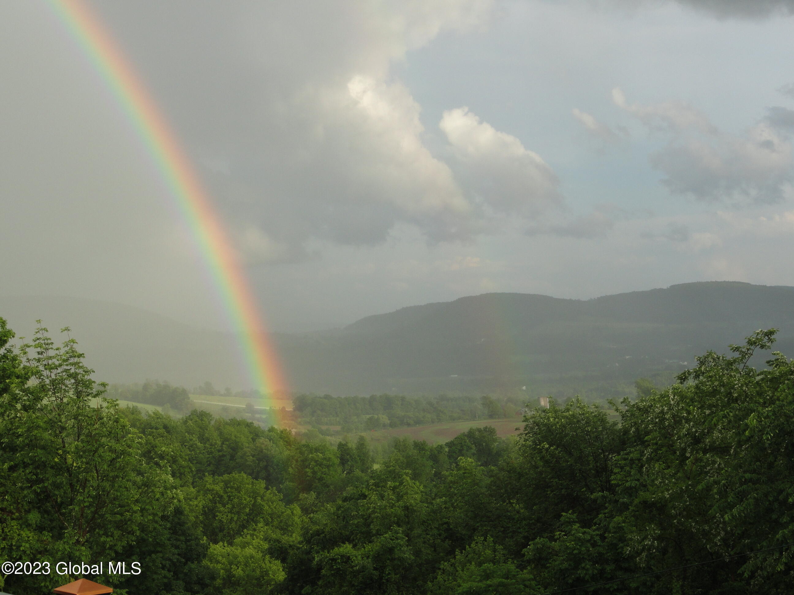 546 Myers Road Howes Cave, NY 12092 - Photo 81 of 85 SouthView1