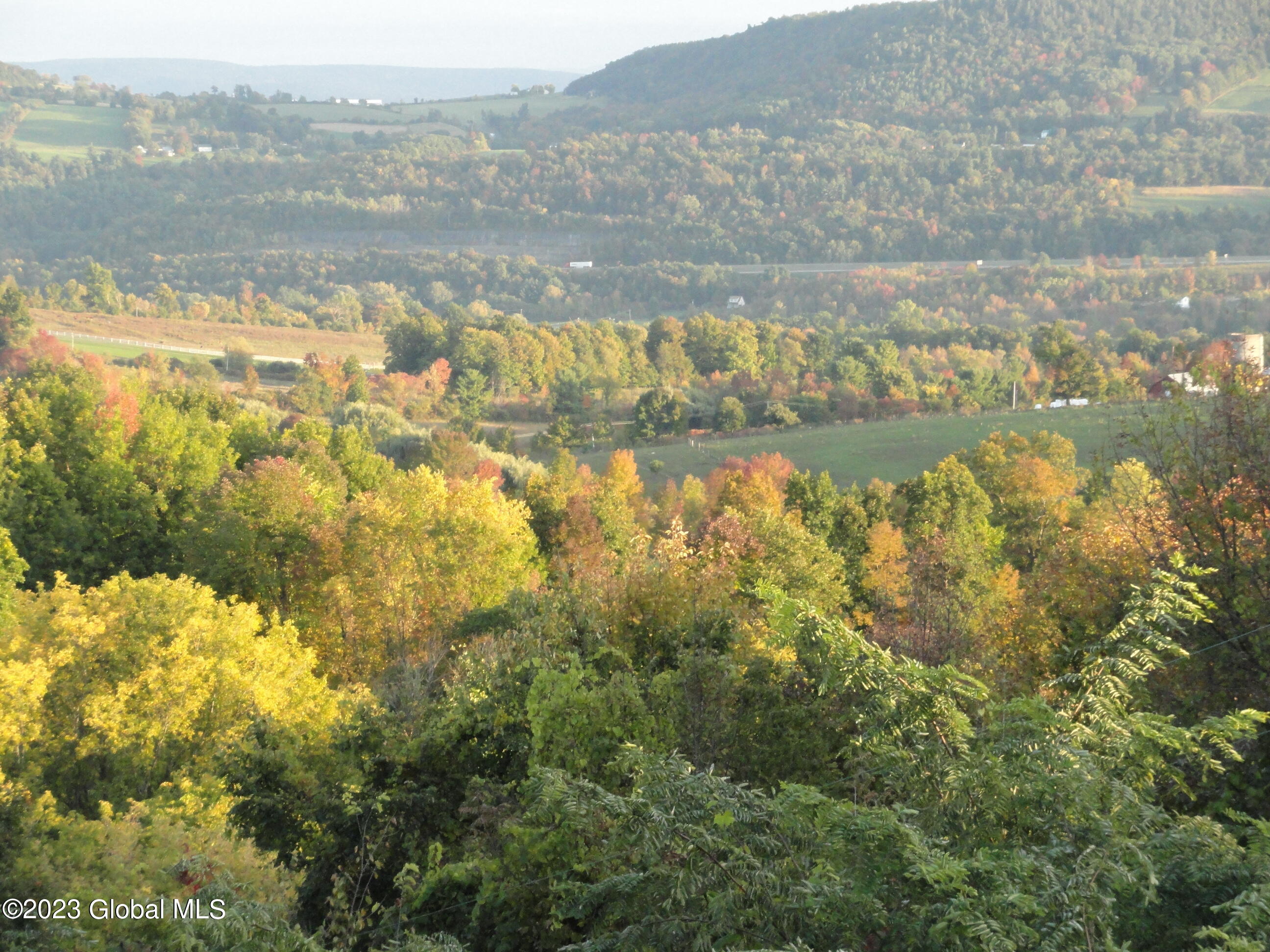 546 Myers Road Howes Cave, NY 12092 - Photo 82 of 85 SouthView2