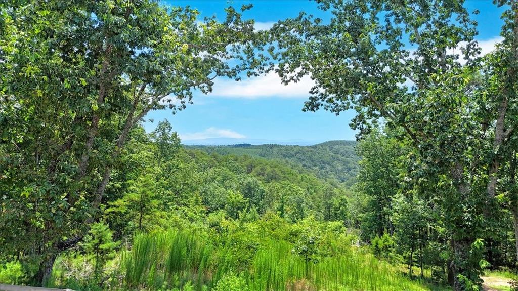 1528 Faith Court Ranger, GA 30734 - Photo 51 of 68