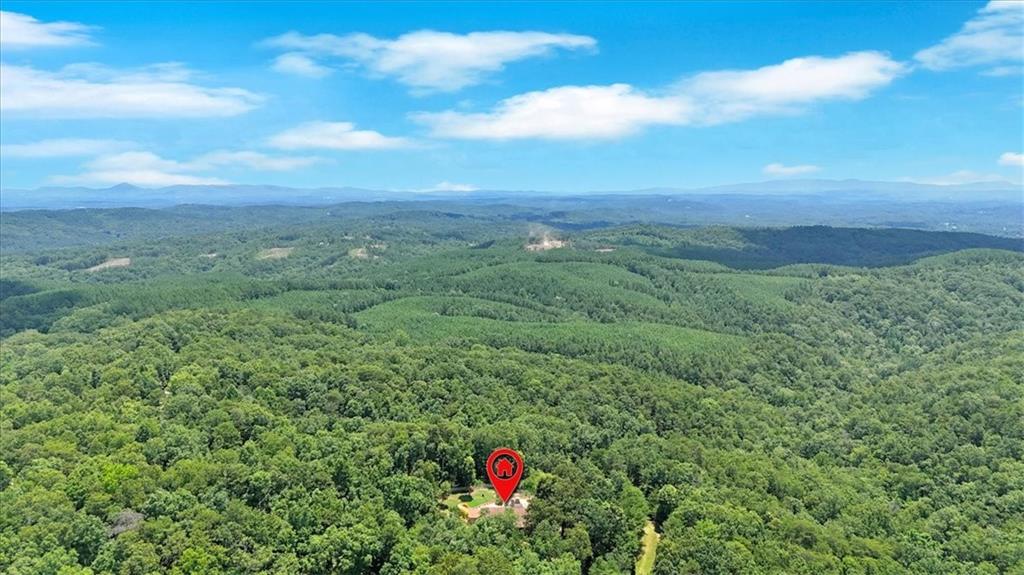 1528 Faith Court Ranger, GA 30734 - Photo 54 of 68