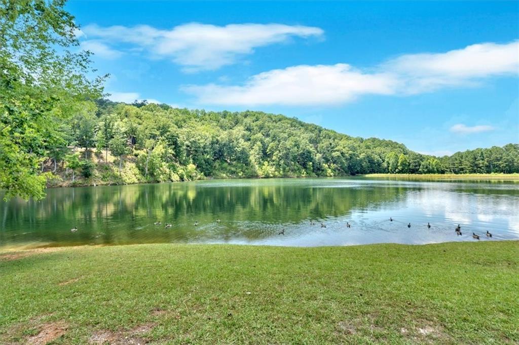 1528 Faith Court Ranger, GA 30734 - Photo 62 of 68