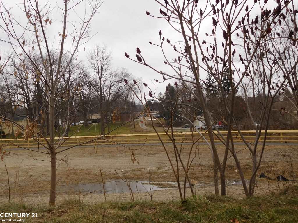 194 Mill Street Rochester, MI 48307 - Photo 3 of 48