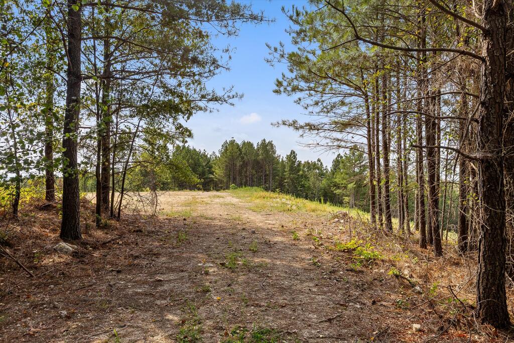 6 Reed Road Tunnel Hill, GA 30755 - Photo 27 of 27 Gallery Image 27