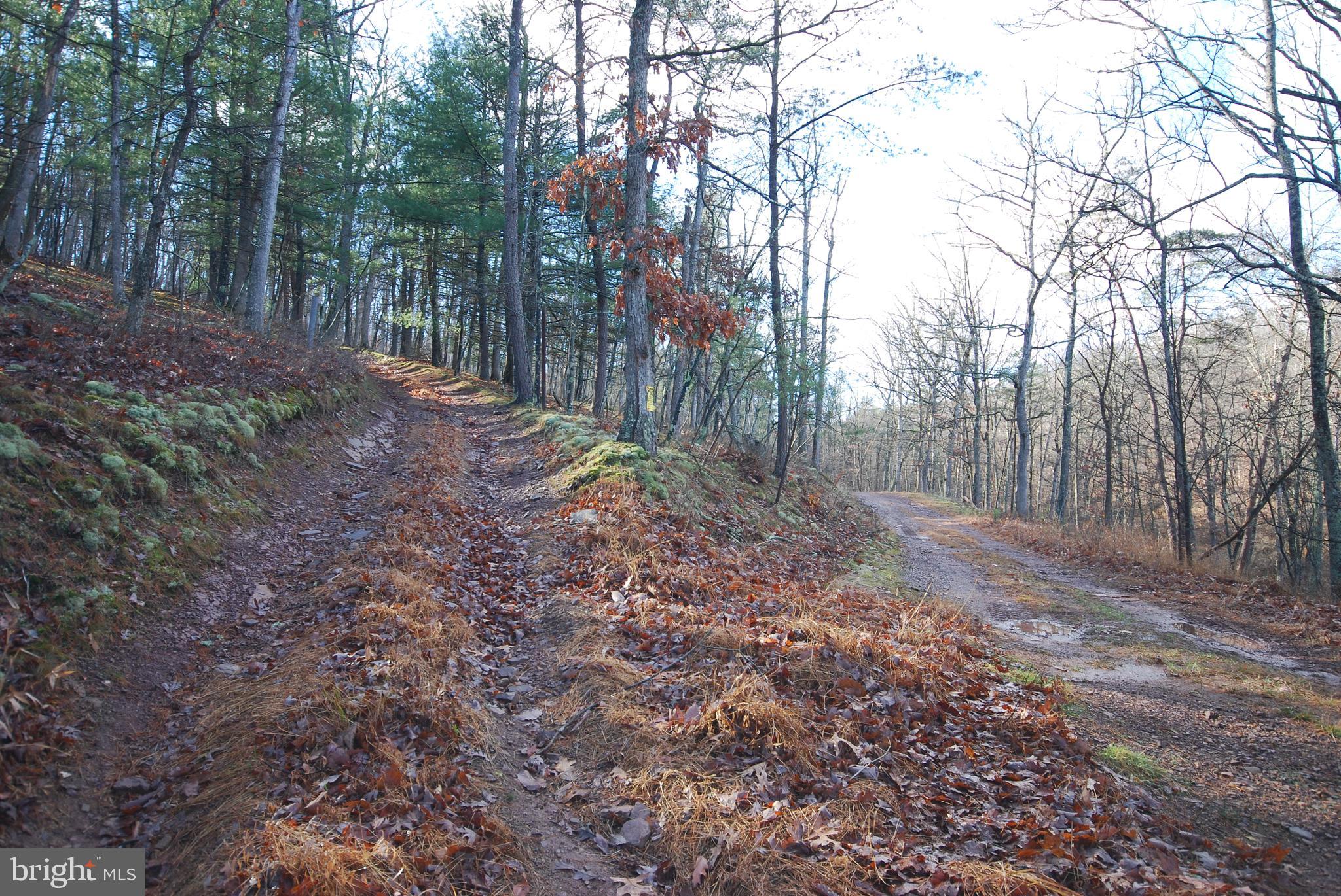 Lot 70-71 Mill Mountain Road Romney, WV 26757 - Photo 18 of 52