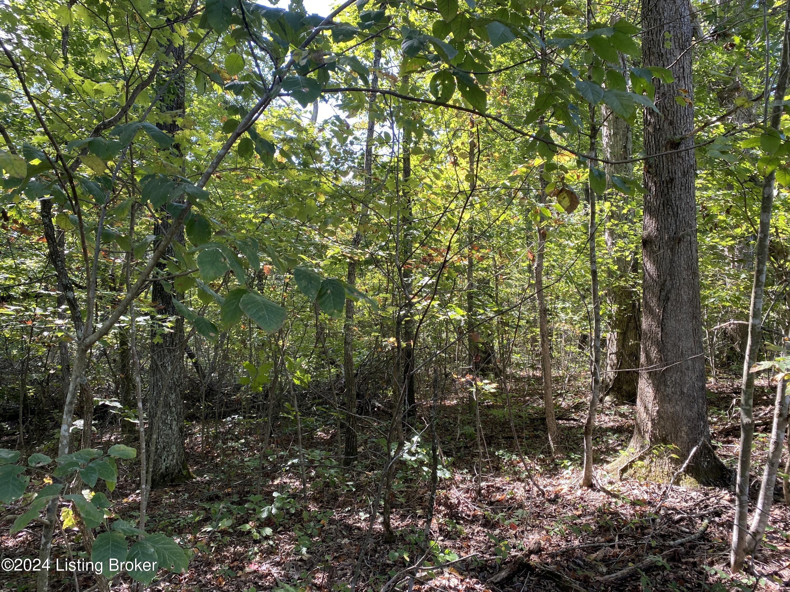4805 Nolin Dam Road Mammoth Cave, KY 42259 - Photo 8 of 8 8