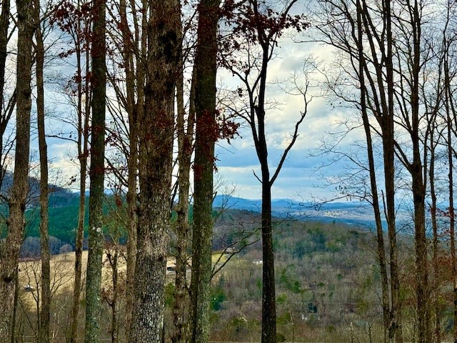 0 Winding Ridge Blairsville, GA 30512 - Photo 11 of 25