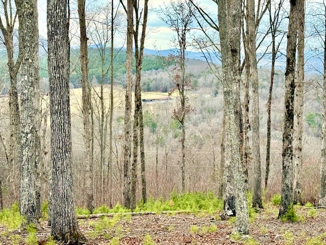 0 Winding Ridge Blairsville, GA 30512 - Photo 12 of 25