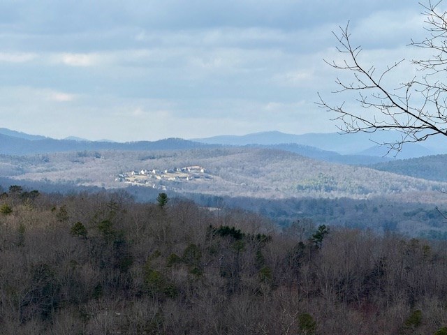 0 Winding Ridge Blairsville, GA 30512 - Photo 3 of 25