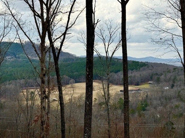 0 Winding Ridge Blairsville, GA 30512 - Photo 5 of 25