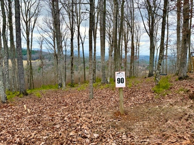 0 Winding Ridge Blairsville, GA 30512 - Photo 7 of 25