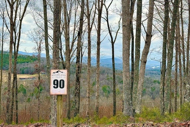 0 Winding Ridge Blairsville, GA 30512 - Photo 8 of 25