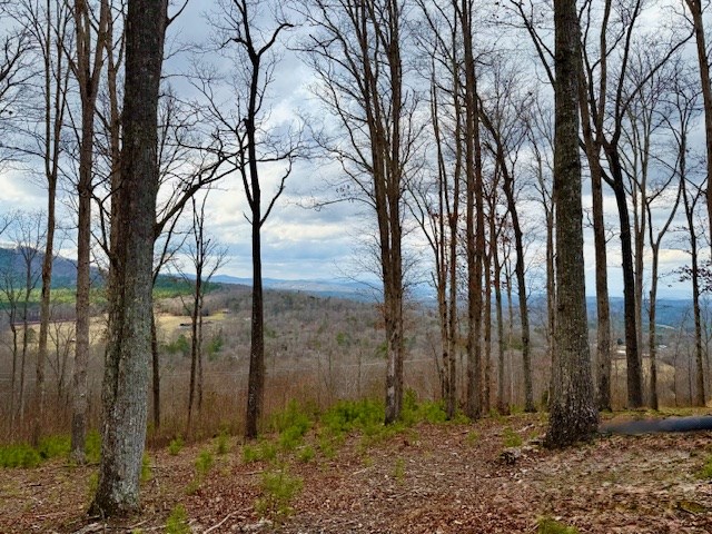 0 Winding Ridge Blairsville, GA 30512 - Photo 9 of 25