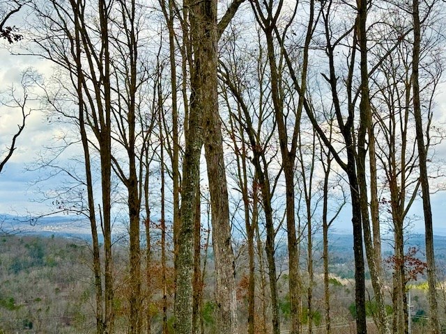 0 Winding Ridge Blairsville, GA 30512 - Photo 10 of 25