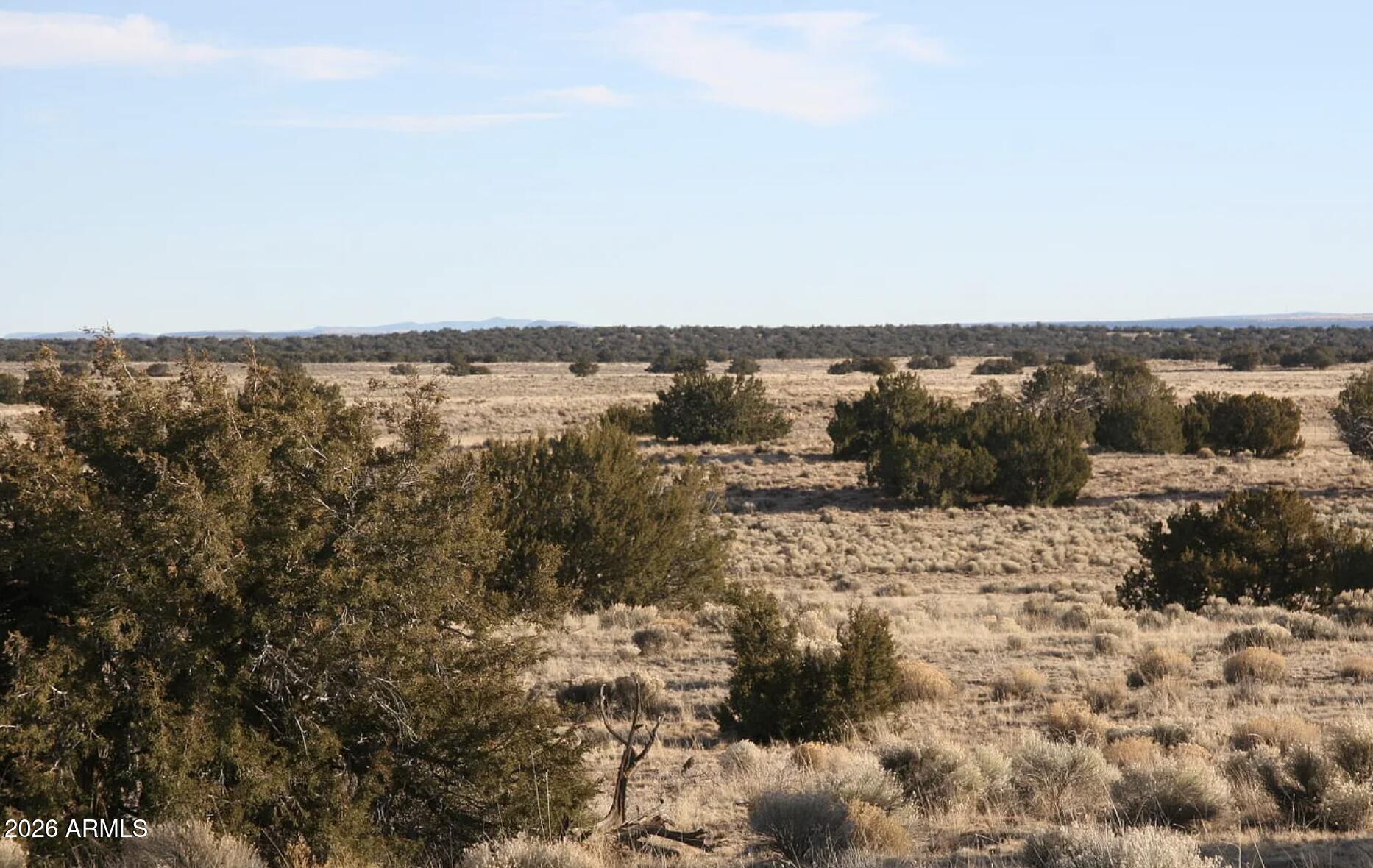 684 County Road St. Johns, AZ 85936 - Photo 9 of 11 a view of a dry yard with wooden fence