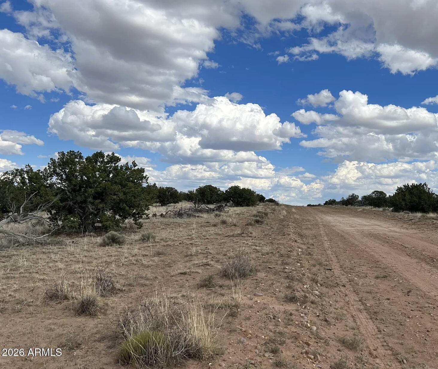 684 County Road St. Johns, AZ 85936 - Photo 10 of 11 a view of a dry yard with wooden fence