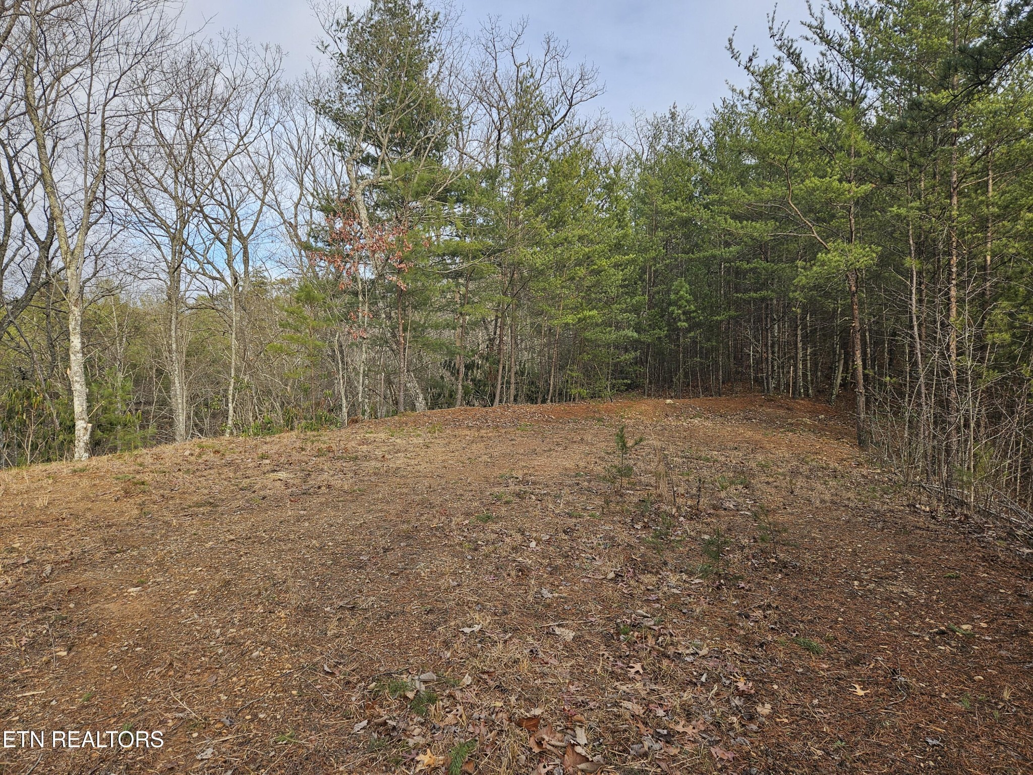 0 South Clear Frk Road Sevierville, TN 37862 - Photo 3 of 30 Gallery Image 3