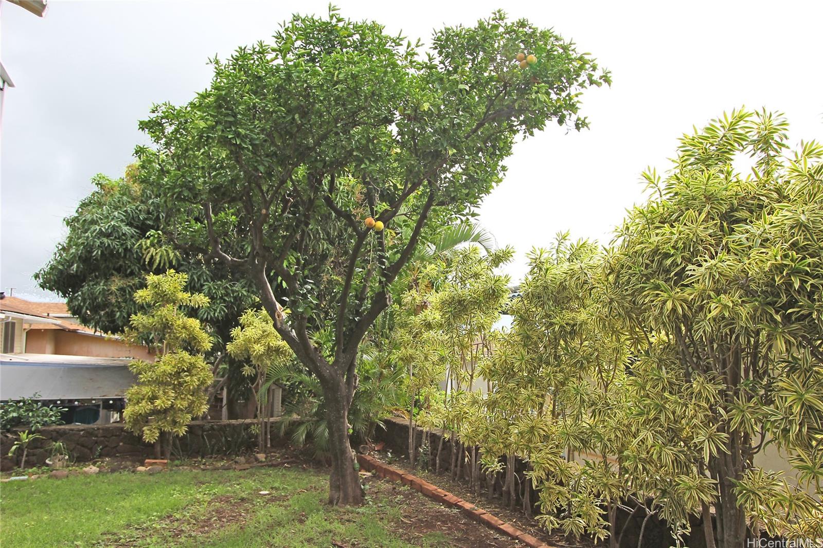3647 Aliamanu Street Honolulu, HI 96818 - Photo 15 of 16 a view of backyard with green space