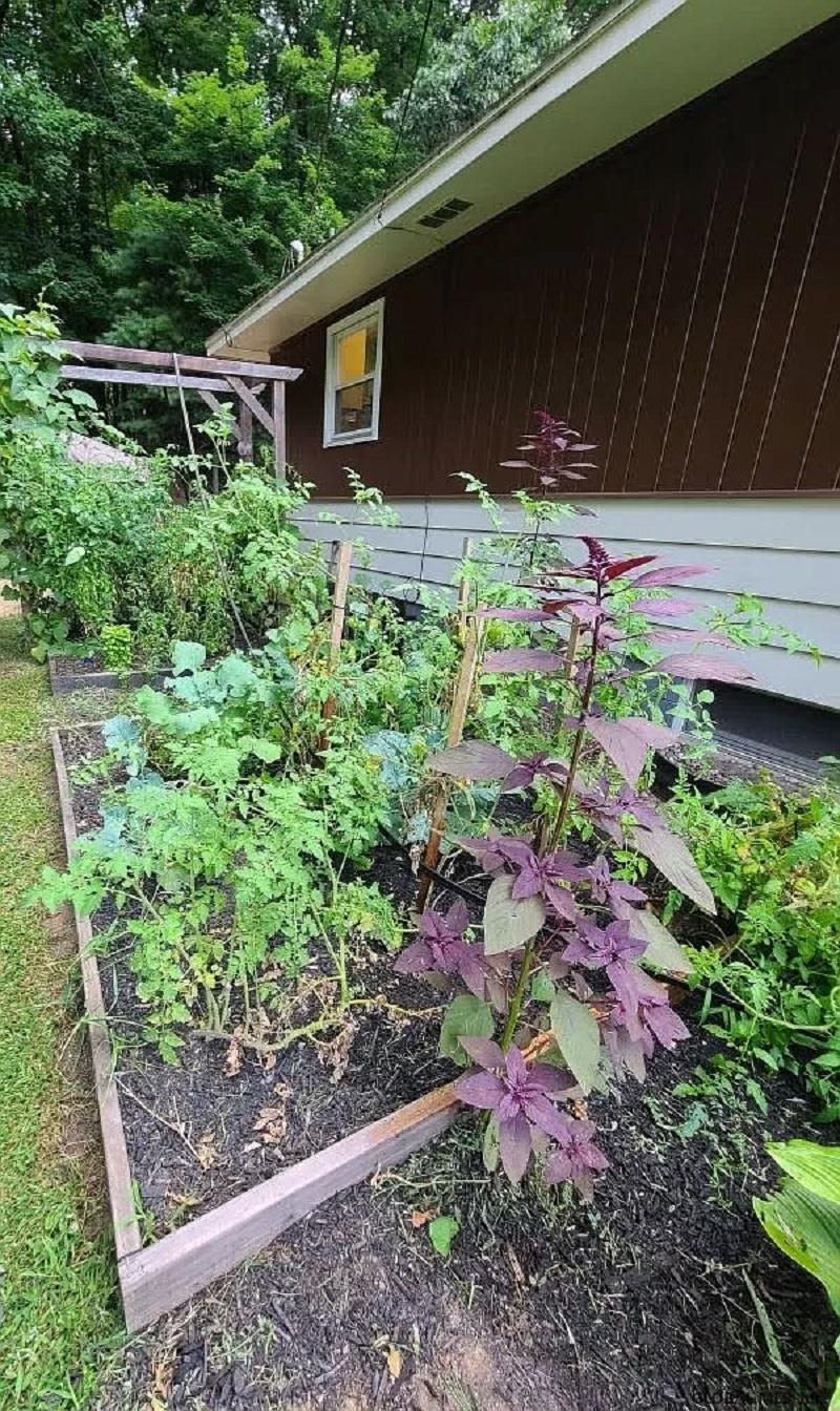 8 Denison Road Colonie, NY 12309 - Photo 39 of 44 Photo 40