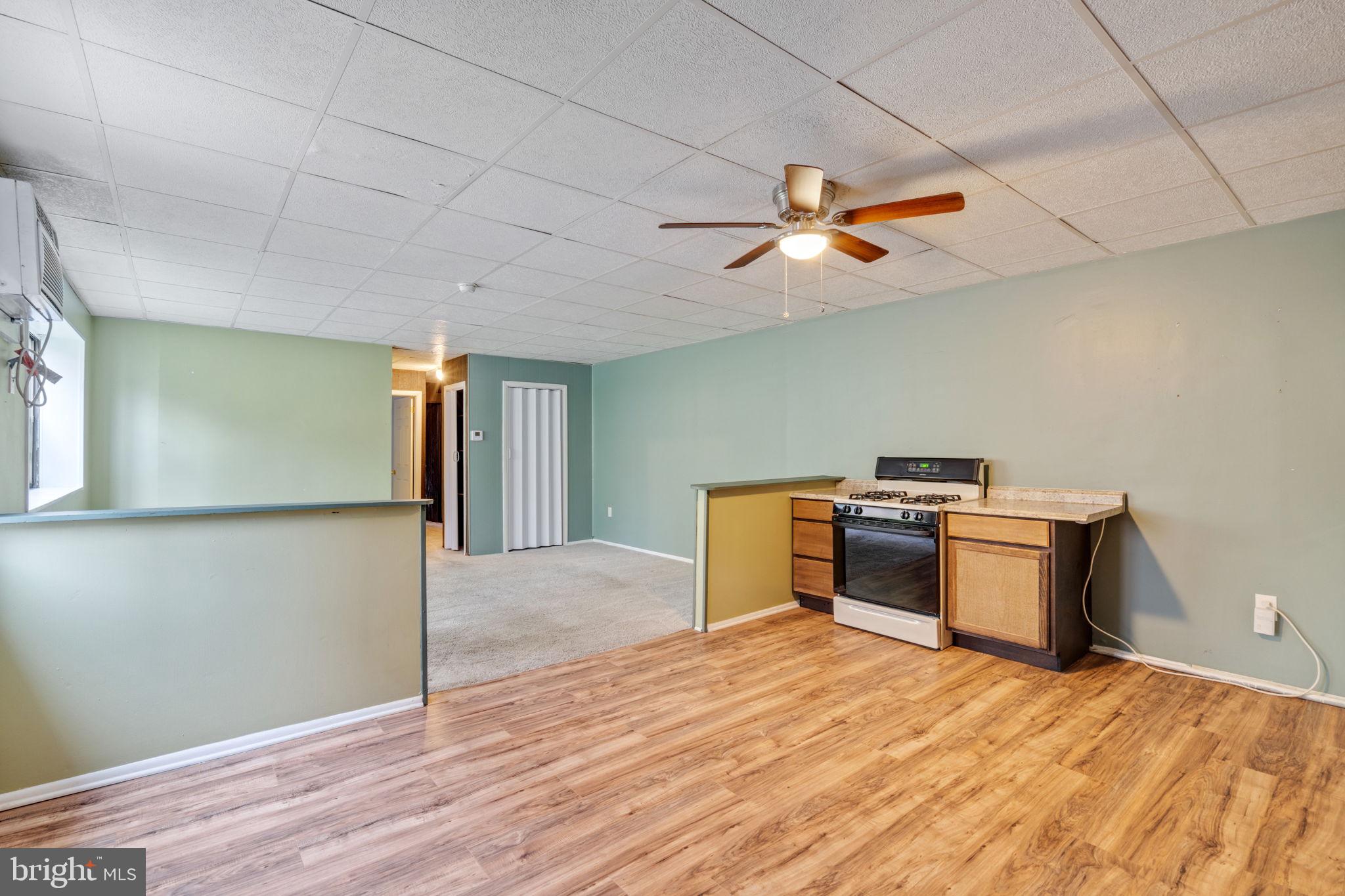 1315 Reed Street Philadelphia, PA 19147 - Photo 4 of 58 Gallery Image 4
