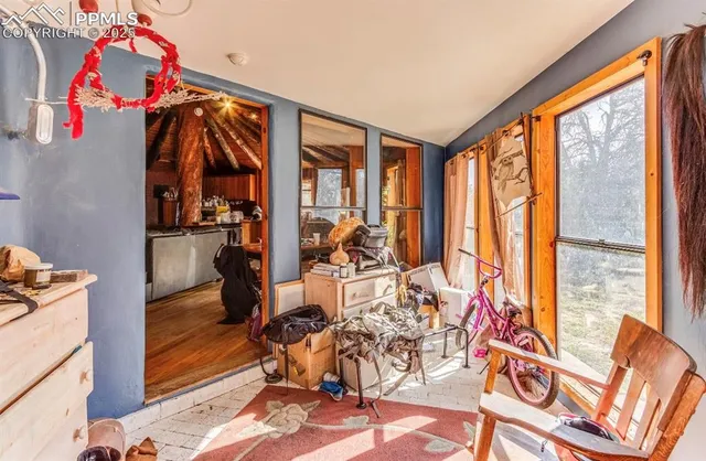 a view of a yard with a tree