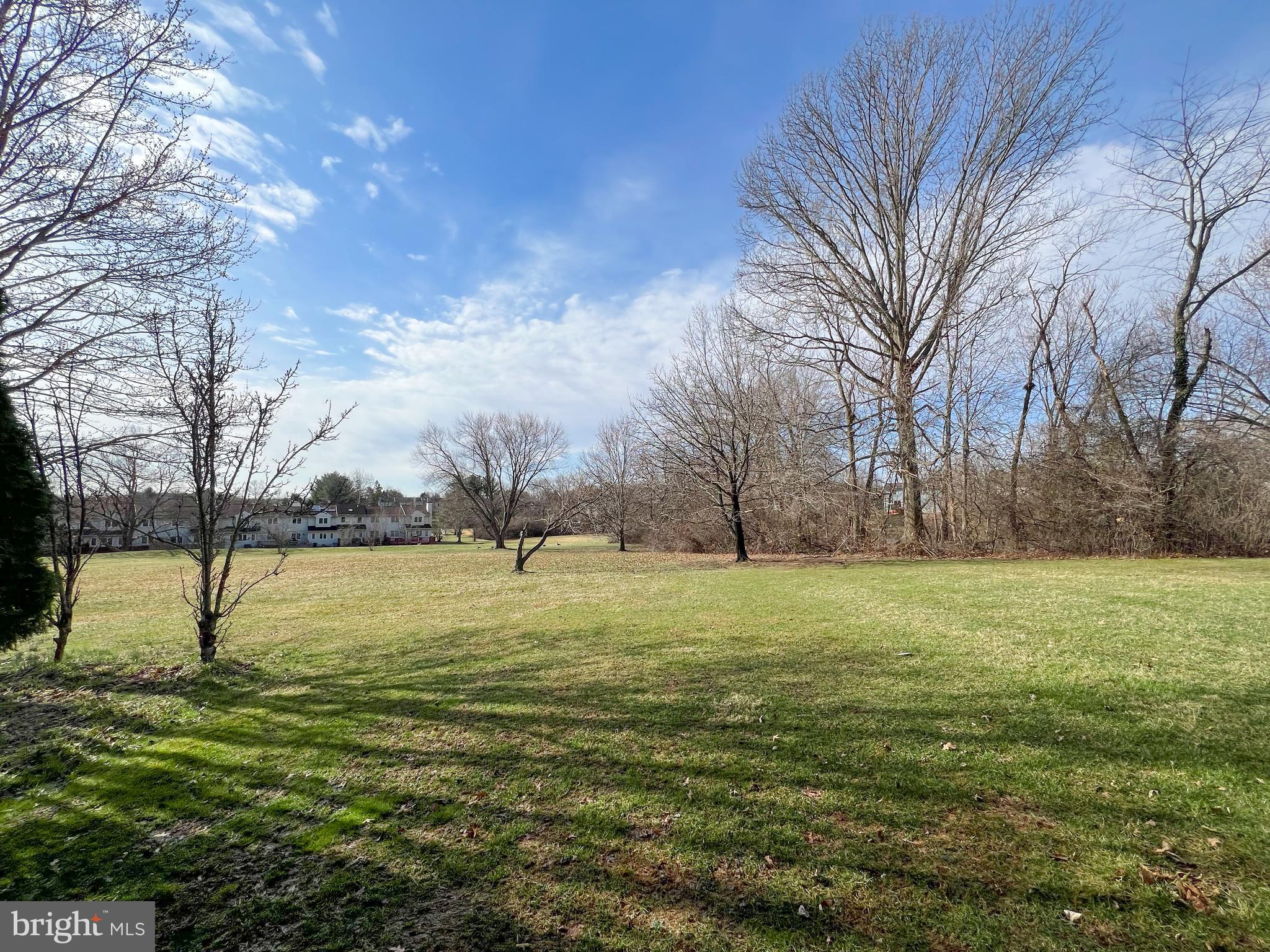 370 Chickory Way Newark, DE 19711 - Photo 34 of 36 a big yard with trees in the background