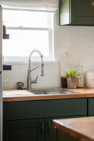 a bathroom with a sink and a potted plant