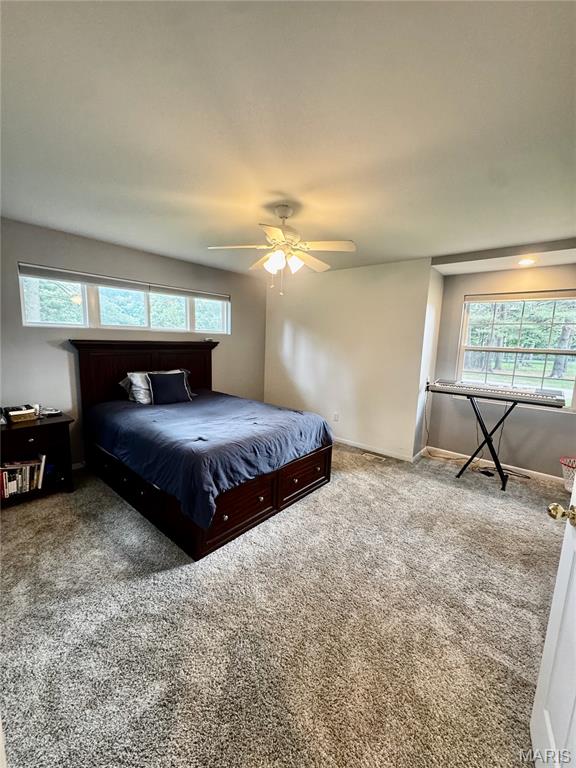 1330 Deer Creek Road Greenville, IL 62246 - Photo 28 of 55